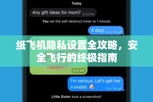 纸飞机隐私设置全攻略，安全飞行的终极指南