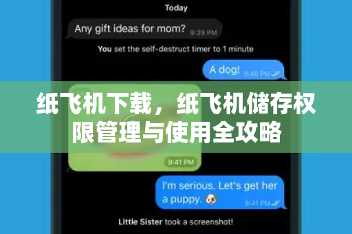 纸飞机下载，纸飞机储存权限管理与使用全攻略-第1张图片-纸飞机桌面下载 - 纸飞机中文官方