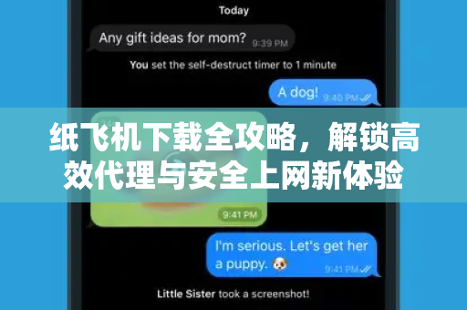 纸飞机下载全攻略，解锁高效代理与安全上网新体验-第1张图片-纸飞机桌面下载 - 纸飞机中文官方