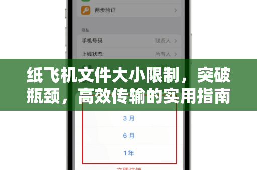 纸飞机文件大小限制，突破瓶颈，高效传输的实用指南