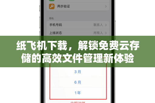 纸飞机下载，解锁免费云存储的高效文件管理新体验