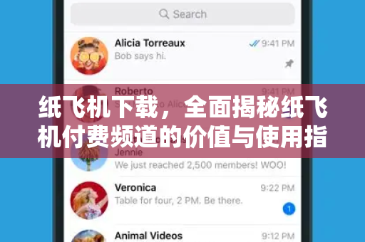 纸飞机下载，全面揭秘纸飞机付费频道的价值与使用指南