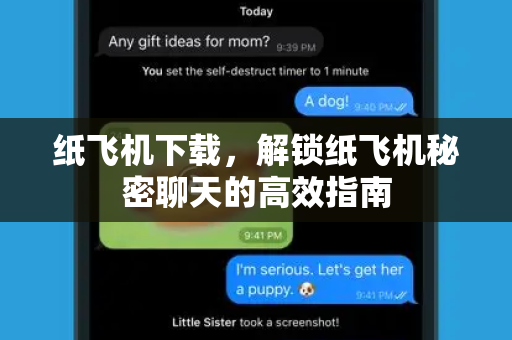 纸飞机下载，解锁纸飞机秘密聊天的高效指南-第1张图片-纸飞机桌面下载 - 纸飞机中文官方