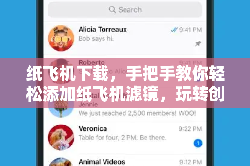 纸飞机下载，手把手教你轻松添加纸飞机滤镜，玩转创意视觉-第1张图片-纸飞机桌面下载 - 纸飞机中文官方
