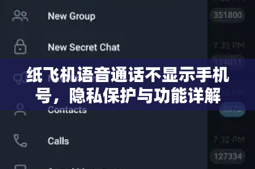 纸飞机语音通话不显示手机号，隐私保护与功能详解-第1张图片-纸飞机桌面下载 - 纸飞机中文官方