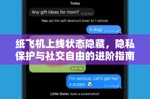 纸飞机上线状态隐藏，隐私保护与社交自由的进阶指南-第1张图片-纸飞机桌面下载 - 纸飞机中文官方