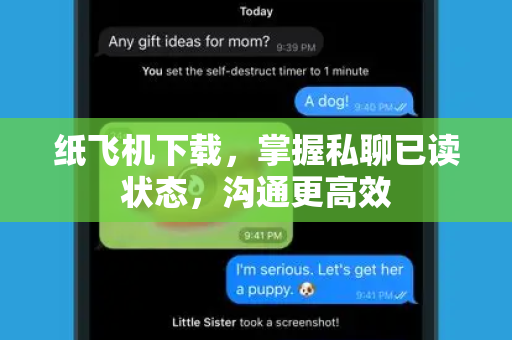 纸飞机下载，掌握私聊已读状态，沟通更高效-第1张图片-纸飞机桌面下载 - 纸飞机中文官方