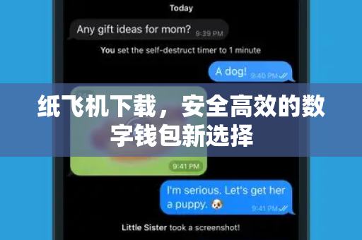 纸飞机下载，安全高效的数字钱包新选择