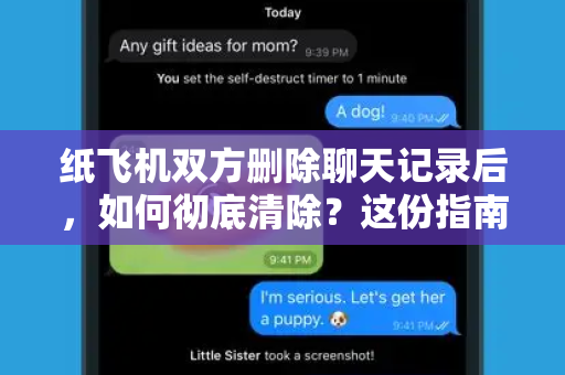 纸飞机双方删除聊天记录后，如何彻底清除？这份指南请收好-第1张图片-纸飞机桌面下载 - 纸飞机中文官方