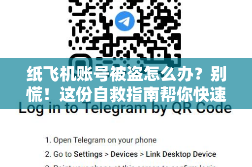 纸飞机账号被盗怎么办？别慌！这份自救指南帮你快速找回-第1张图片-纸飞机桌面下载 - 纸飞机中文官方