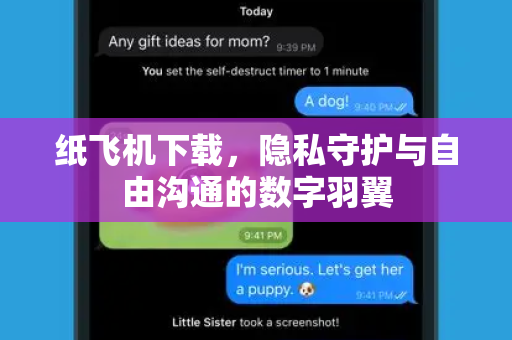 纸飞机下载，隐私守护与自由沟通的数字羽翼