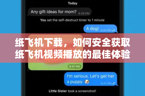 纸飞机下载，如何安全获取纸飞机视频播放的最佳体验