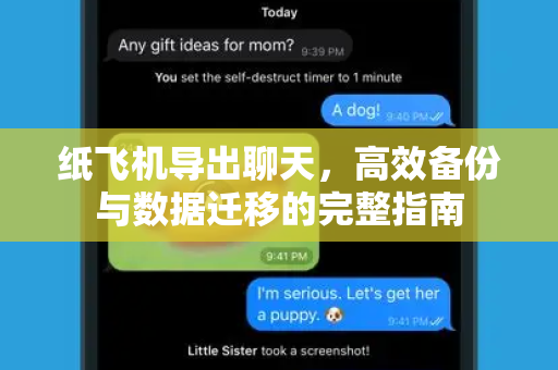 纸飞机导出聊天，高效备份与数据迁移的完整指南