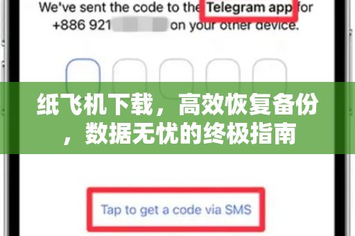 纸飞机下载，高效恢复备份，数据无忧的终极指南