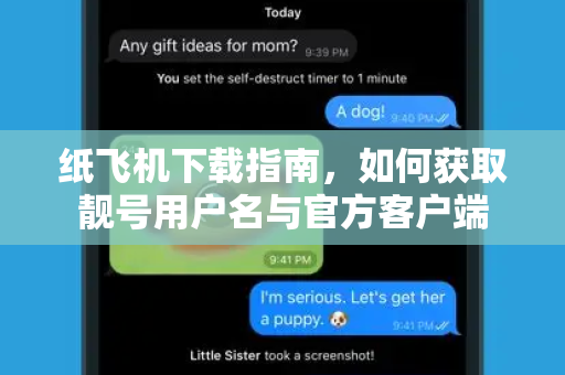 纸飞机下载指南，如何获取靓号用户名与官方客户端-第1张图片-纸飞机桌面下载 - 纸飞机中文官方