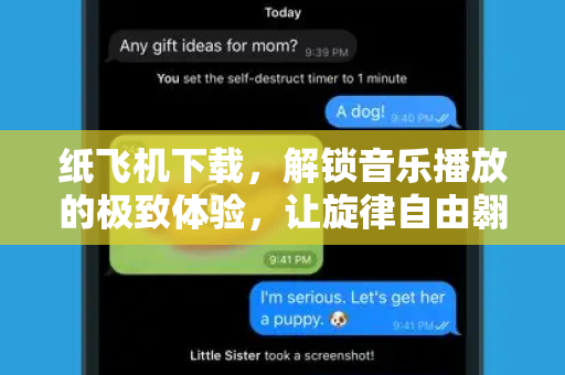 纸飞机下载，解锁音乐播放的极致体验，让旋律自由翱翔