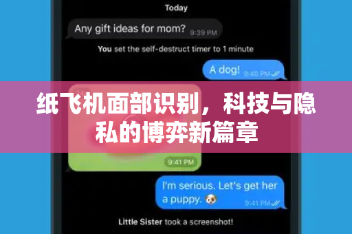 纸飞机面部识别，科技与隐私的博弈新篇章