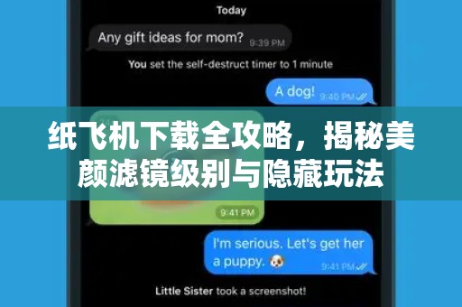 纸飞机下载全攻略,揭秘美颜滤镜级别与隐藏玩法-第1张图片-纸飞机桌面下载 - 纸飞机中文官方 纸飞机下载全攻略,揭秘美颜滤镜级别与隐藏玩法-第1张图片-纸飞机桌面下载 - 纸飞机中文官方