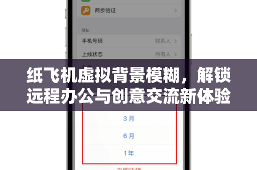 纸飞机虚拟背景模糊，解锁远程办公与创意交流新体验