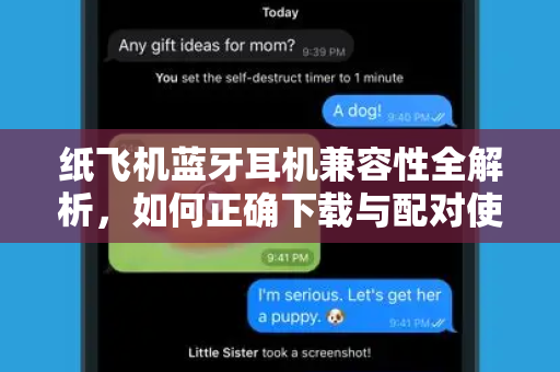 纸飞机蓝牙耳机兼容性全解析，如何正确下载与配对使用