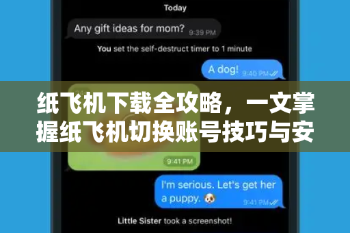 纸飞机下载全攻略，一文掌握纸飞机切换账号技巧与安全指南
