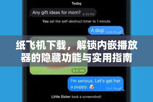 纸飞机下载，解锁内嵌播放器的隐藏功能与实用指南