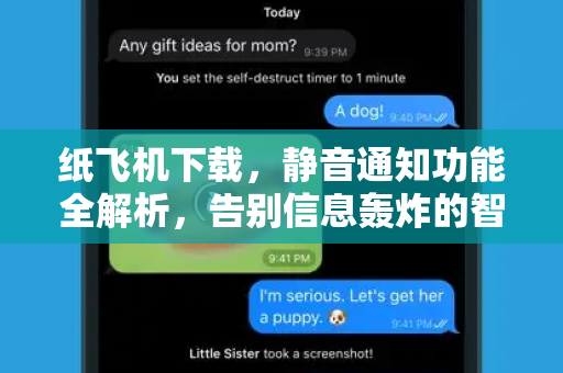 纸飞机下载，静音通知功能全解析，告别信息轰炸的智慧之选