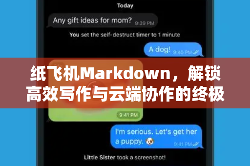 纸飞机Markdown，解锁高效写作与云端协作的终极指南