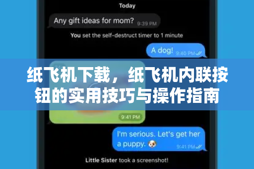 纸飞机下载，纸飞机内联按钮的实用技巧与操作指南